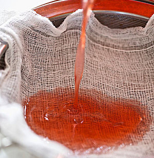 Limit state of filter cloth